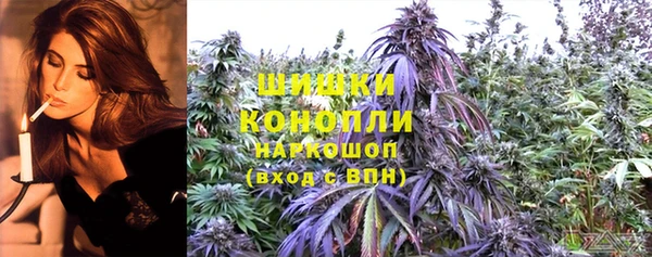 Альфа ПВП Мегион