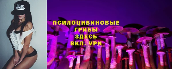 прущая мука Медногорск