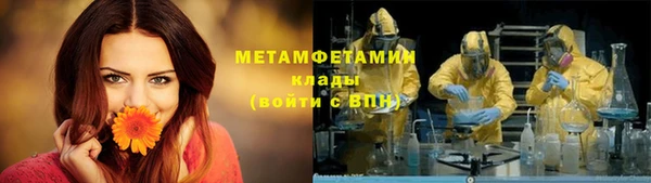 гидра Ахтубинск