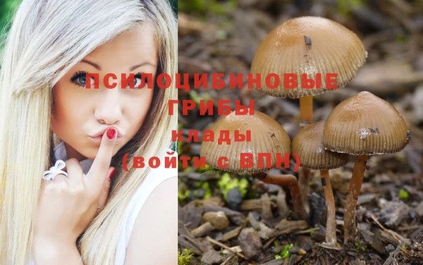 Альфа ПВП Мегион