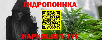 шишки Беслан