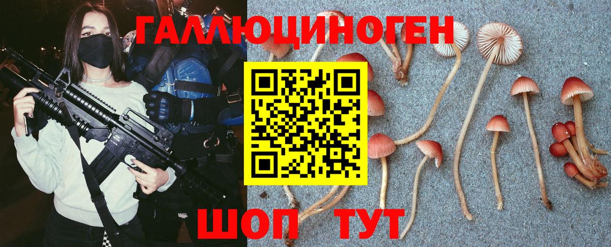 Галлюциногенные грибы мухоморы Волгоград